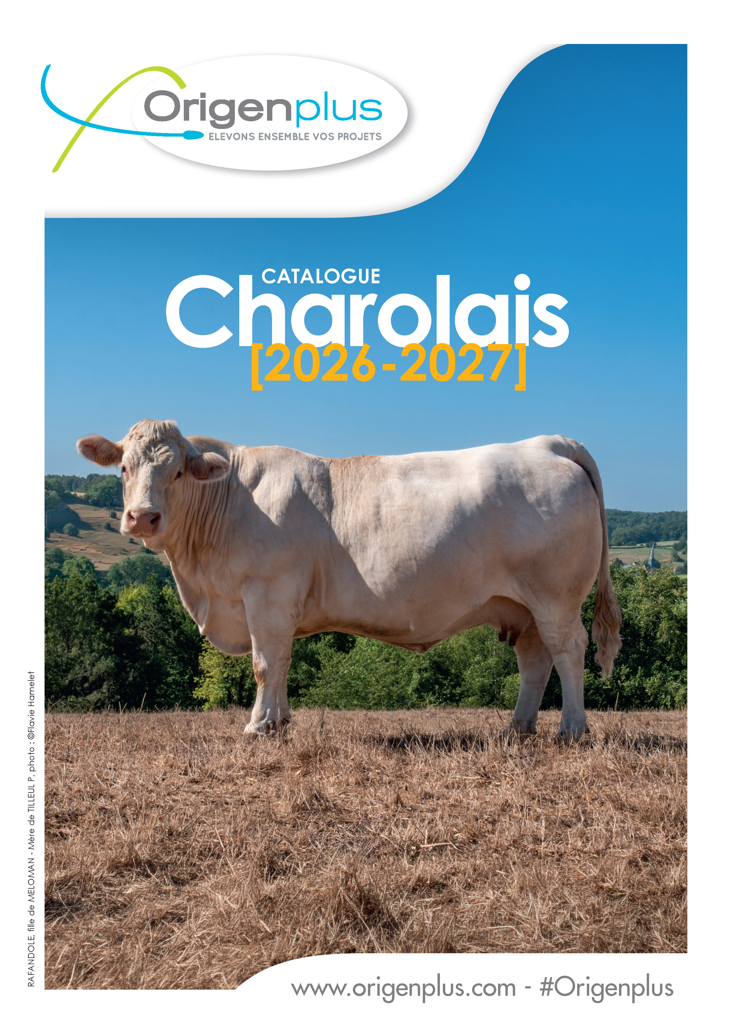 Catalogue Charolais Origenplus - 2026-2027